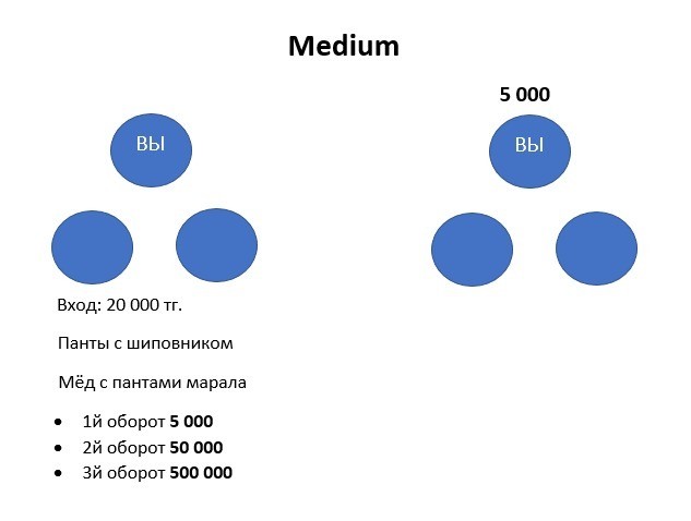 Программа Medium 