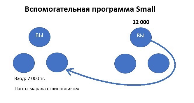 Программа Small